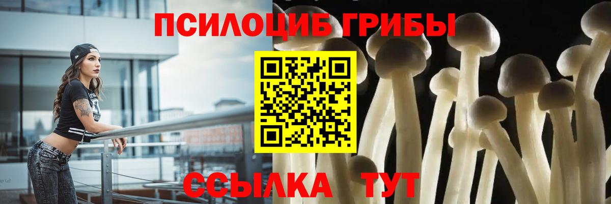 закладки  Галлюциногенные грибы Magic Shrooms  Вход с VPN  Псилоцибиновые грибы мухоморы  Котлас 